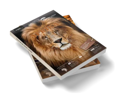 Katalog