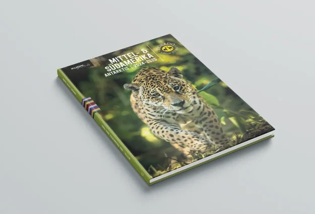 Dorado Katalog