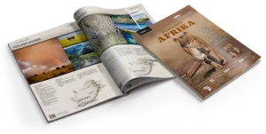 Katalog
